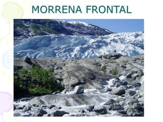 MORRENA FRONTAL
 