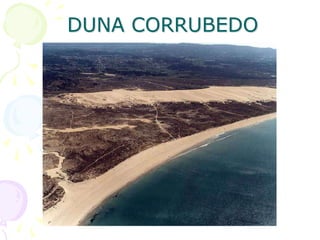 DUNA CORRUBEDO
 
