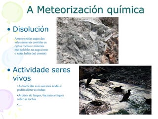 A Meteorización química
• Disolución
• Actividade seres
vivos
Arrastre polas augas das
sales minerais contidas en
certas rochas e minerais
moi solubles na auga como
o xeso, halita (sal común)
•As heces das aves son moi ácidas e
poden alterar as rochas
•Accións de fungos, bacterias e liques
sobre as rochas
•….
 