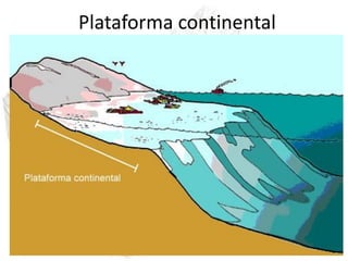 Plataforma continental
• É basicamente uma extensão do continente;
• Segue até cerca de 200 metros de profundidade a
  partir do nível do mar;
• É uma área que recebe e acumula os sedimentos
  vindos dos continente.
 