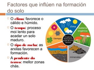 Factores que inflúen na formación
do solo
 O clima: favorece o
cálido e húmido.
 O tempo: proceso
moi lento para
acadar un solo
maduro.
 O tipo de rocha: as
arxilas favorecen a
formación.
 A pendente do
terreo: mellor zonas
chás.
 