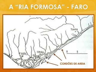 A “RIA FORMOSA” - FAROCORDÕES DE AREIA