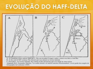 EVOLUÇÃO DO HAFF-DELTA