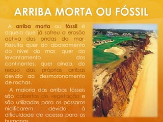 ARRIBA MORTA OU FÓSSIL  A arribamortaoufóssiléaquelaquejásofreu a erosãoactiva das ondas do mar. Resultaquer do abaixamento do nível do mar, quer do levantamento dos continentes, querainda, do recuo das própriasarribasdevidoaodesmoronamento de rochas.  A maioria das arribasfósseissãocobertas de vegetaçãoe sãoutilizadasparaospássarosnidificaremdevidoàdificuldade de acessoparaoshumanos.
