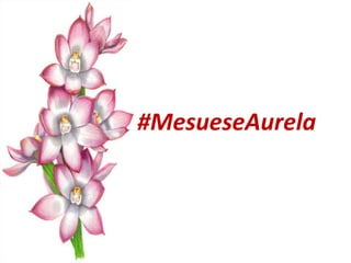 #MesueseAurela
 