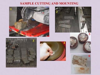 SAMPLE CUTTING AND MOUNTING
1
2
3
4
5
6
 