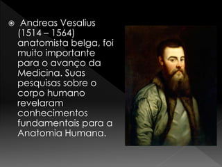  Andreas Vesalius 
(1514 – 1564) 
anatomista belga, foi 
muito importante 
para o avanço da 
Medicina. Suas 
pesquisas sobre o 
corpo humano 
revelaram 
conhecimentos 
fundamentais para a 
Anatomia Humana. 
 