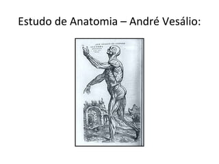 Estudo de Anatomia – André Vesálio:
 