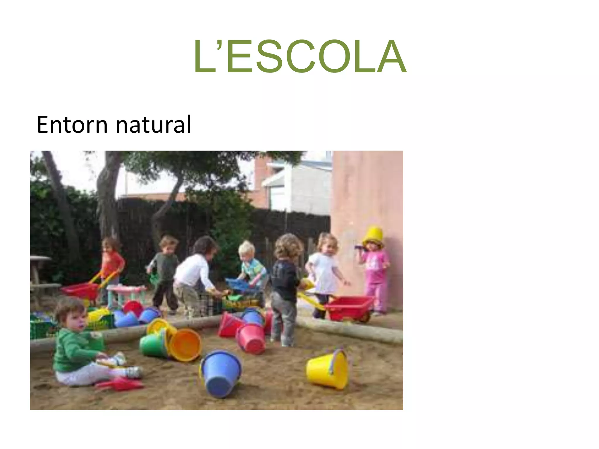 L’ESCOLA 
Entorn natural 
 