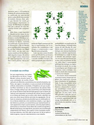 outubro de 2000 • CIÊNCIA HOJE • 79
MEMÓRIA
apontam para a circunstância
modesta do anúncio da descober-
ta, publicada em uma revista
pouco conhecida de uma socieda-
de também obscura. Hoje, sabe-
se que Mendel foi citado por
pesquisadores importantes no
campo da hibridação de plantas
sem que o alcance de suas des-
cobertas tivesse sido compreen-
dido.
Além disso, e mais importan-
te, Mendel enviou cópias do tra-
balho a renomados pesquisadores
da época e muitas bibliotecas uni-
versitárias receberam os Anais da
Academia de Brünn, contendo
sua publicação. É particularmen-
te interessante o fato de Mendel
ter se correspondido intensamen-
te com Karl Wilhelm von Nägeli
(1817-1891), um dos mais emi-
nentes estudiosos de hereditarie-
dade daqueles tempos. Ele enviou
a von Nägeli relatos minuciosos
de seus experimentos com ervi-
lhas e outras plantas, mas as res-
postas de Nägeli mostram que ele
não se impressionou com os re-
sultados dos cruzamentos e não
chegou a compreender o que
Mendel estava propondo.
Cada vez mais somos levados
a crer que Mendel foi um homem
à frente de seu tempo, ou seja, que
o mundo científico da época não
estava preparado para entender a
profundidade e as implicações de
suas descobertas. A biologia tinha
menos de sete décadas de exis-
tência como ciência formal e os
biólogos não estavam familiariza-
dos com o método experimental,
já tradicional no campo da física
(e Mendel, não podemos esque-
cer, teve sua educação formal nes-
sa área, pois era professor de físi-
ca). Além disso, a preocupação
principal dos biólogos na segun-
da metade do século 19, ou seja,
os paradigmas que dirigiam suas
pesquisas, eram a citologia, cen-
trada no estudo dos cromossomos,
e a teoria da evolução.
No entanto, foram exatamente
os avanços nesses campos que exi-
giram uma explicação coerente
para o fenômeno da hereditarie-
dade. E essa necessidade levou
De Vries, Correns, Tschermark e
Bateson a desenvolver a estraté-
gia metodológica correta para a
solução do problema. Uma estra-
tégia que, 35 anos antes, havia
sido pensada e aplicada com su-
cesso nos canteiros de um modes-
to mosteiro agostiniano, por um
monge deslumbrado com as re-
gularidades da natureza: Gregor
Mendel.
José Mariano Amabis
José Mariano Amabis
José Mariano Amabis
José Mariano Amabis
José Mariano Amabis
Departamento
de Biologia,
Instituto de Biociências,
Universidade de São Paulo
Aocruzar
plantas
híbridas, com
um alelo para
maioraltura(T)
eoutropara
menor altura
(t), Mendel
obteve apenas
uma planta
pequena (tt)
em cada quatro
– esse e outros
resultados
o levaram
a propor
a existência
de genes
dominantes
e genes
recessivos
A verdade nas ervilhas
Em seus experimentos, nos jardins
do Monastério de Brünn, Gregor
Mendel cultivou durante quase 10
anos variedades de ervilha (Pisum
sativum) com diferentes características (no tamanho da planta, nas
flores, nas vagens e nos grãos), e cruzou-as através de fertilização
artificial, observando os resultados. A freqüência com que as plan-
tas-filhas mantinham ou não as características das plantas-mães
levou o monge a deduzir que cada característica seria determinada
por um par de fatores (hoje denominados genes) e que os fatores de
cada par eram separados na produção das células sexuais (o pólen
ou as células dos óvulos que se unem a ele). Assim, cada fator iria
para uma célula sexual distinta (princípio da segregação). Ele de-
duziu (e comprovou através de previsões) que as combinações en-
tre os fatores obedeciam a leis estatísticas simples, e que alguns
dos fatores (e, portanto, as características que representavam) se-
riam capazes de se impor a outros (seriam, como ele próprio definiu,
dominantes ou recessivos). Essas idéias são a essência da genética.
Mendel ainda lançou uma segunda lei, que previa uma recombinação
independente dos fatores, para explicar certos resultados estatís-
ticos que observou, mas hoje sabe-se que essa lei não se aplica a
todos os genes, o que em nada desmerece o seu trabalho.
 