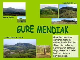 GURE MENDIAK ALDURA 551 m ZARIA 630 m TXORITOKIETA  317 m Gure herriaren lur gehienak mendiko aldean daude. Zati bat Aiako Harria Parke Naturalaren barruan dago. Beste zati txiki bat Lau Haizeta parkean dago. 
