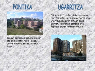 PONTIKA UGARRITZA Olibet eta Etxeberrieta auzuneak hartzen ditu. Lezo udalerriaren eta Oiartzun ibaiaren artean dago. Bertan, Renferen geltokia eta Papresa paper lantegia daude. Beraun auzoaren beheko aldean eta erdialdetik hurbil dago. Dorre moduko etxeez osatua dago. 