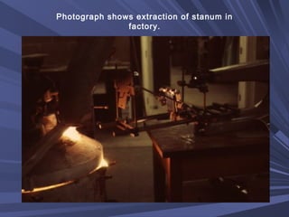 Photograph shows extraction of stanum in
factory.
 