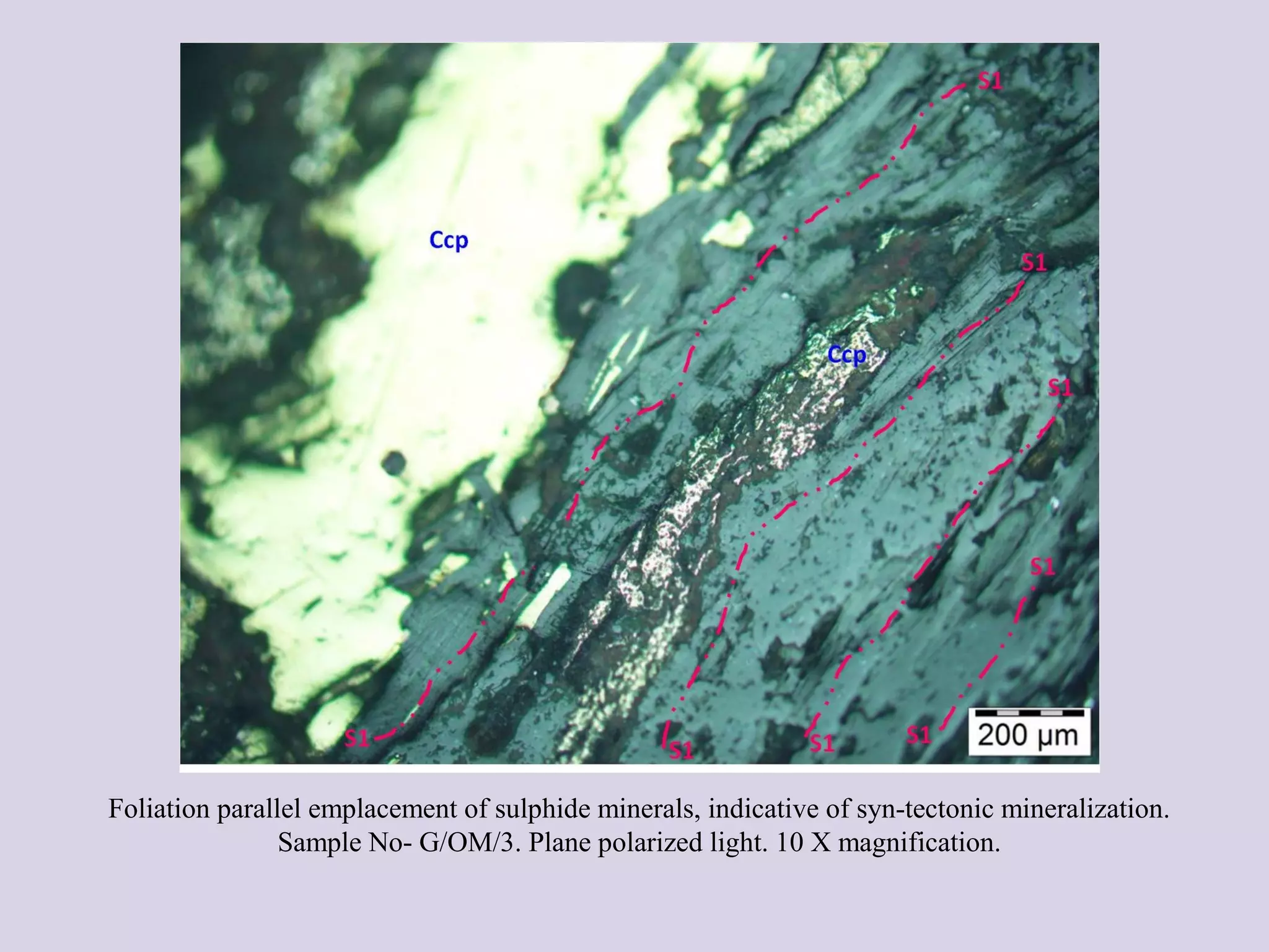 Foliation parallel emplacement of sulphide minerals, indicative of syn-tectonic mineralization.
Sample No- G/OM/3. Plane polarized light. 10 X magnification.
 