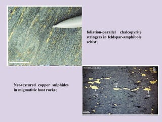 Net-textured copper sulphides
in migmatitic host rocks;
foliation-parallel chalcopyrite
stringers in feldspar-amphibole
schist;
 