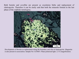 Both bornite and covellite are present as exsolution blebs and replacement of
chalcopyrite. Therefore it can be easily said that both the minerals formed in the last
phase of the sulphide metalogeny.
Development of Bornite as replacement along the boundary and clits of chalcopyrite. Magnetite
is also present in association. Sample No- G/OM/5. Plane polarized light. 2.5 X magnification.
 