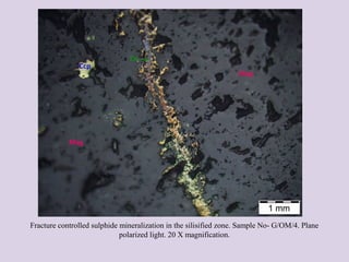 Fracture controlled sulphide mineralization in the silisified zone. Sample No- G/OM/4. Plane
polarized light. 20 X magnification.
 