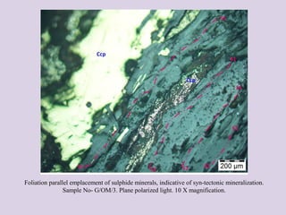 Foliation parallel emplacement of sulphide minerals, indicative of syn-tectonic mineralization.
Sample No- G/OM/3. Plane polarized light. 10 X magnification.
 