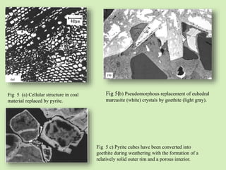 Fig 5 (a) Cellular structure in coal
material replaced by pyrite.
Fig 5(b) Pseudomorphous replacement of euhedral
marcasite (white) crystals by goethite (light gray).
Fig 5 c) Pyrite cubes have been converted into
goethite during weathering with the formation of a
relatively solid outer rim and a porous interior.
 