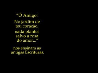 Quais sementes  acolheremos  no sagrado  solo do nosso  coração?... “ Ó Amigo!  No jardim de  teu coração,  nada plantes  salvo a rosa  do amor...” nos ensinam as  antigas Escrituras. 