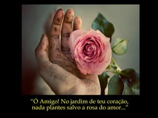 “ Ó Amigo!  No jardim de  teu coração,  nada plantes  salvo a rosa  do amor...” “ Ó Amigo! No jardim de teu coração,  nada plantes salvo a rosa do amor...” 