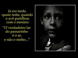 Já era tarde,  quase noite, quando  o avô partilhou  com o menino: “ O verdadeiro lar  do passarinho  é o ar,   e não o ninho...” 