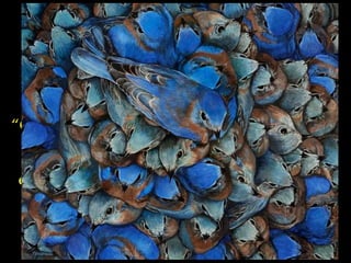 “ O verdadeiro lar  do passarinho  é o ar,   e não o ninho...” 