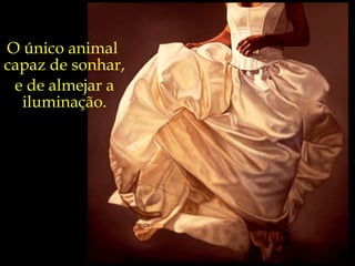 O único animal  capaz de sonhar, e de almejar a iluminação. 