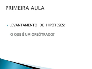 LEVANTAMENTO  DE  HIPÓTESES:O QUE É UM OREÓTRAGO?PRIMEIRA AULA