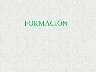 FORMACIÓN  