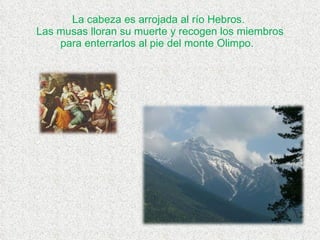 La cabeza es arrojada al río Hebros.  Las musas lloran su muerte y recogen los miembros para enterrarlos al pie del monte Olimpo.  
