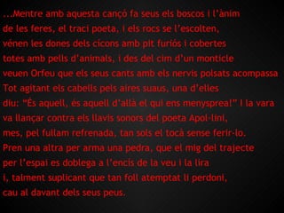 ...Mentre amb aquesta cançó fa seus els boscos i l’ànim de les feres, el traci poeta, i els rocs se l’escolten, vénen les dones dels cícons amb pit furiós i cobertes totes amb pells d’animals, i des del cim d’un monticle veuen Orfeu que els seus cants amb els nervis polsats acompassa Tot agitant els cabells pels aires suaus, una d’elles diu: “És aquell, és aquell d’allà el qui ens menysprea!” I la vara va llançar contra els llavis sonors del poeta Apol·lini, mes, pel fullam refrenada, tan sols el tocà sense ferir-lo. Pren una altra per arma una pedra, que el mig del trajecte per l’espai es doblega a l’encís de la veu i la lira i, talment suplicant que tan foll atemptat li perdoni,  cau al davant dels seus peus. 