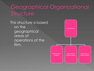 This structure is based
on the
geographical
areas of
operations of the
firm.
Vice President
Sales Director
Western
Sales Director
Southern Region
Sales Director
Eastern Region
 