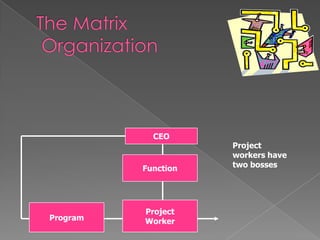 Function
Project
WorkerProgram
CEO
Project
workers have
two bosses
 