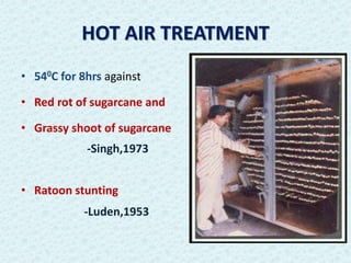 HOT AIR TREATMENT
• 540C for 8hrs against
• Red rot of sugarcane and
• Grassy shoot of sugarcane
-Singh,1973
• Ratoon stunting
-Luden,1953
 
