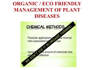 ORGANIC / ECO FRIENDLY
MANAGEMENT OF PLANT
DISEASES
 