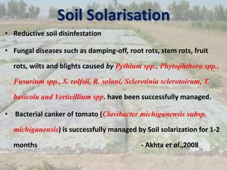 Soil Solarisation
• Reductive soil disinfestation
• Fungal diseases such as damping-off, root rots, stem rots, fruit
rots, wilts and blights caused by Pythium spp., Phytophthora spp.,
Fusarium spp., S. rolfsii, R. solani, Sclerotinia sclerotoirum, T.
basicola and Verticillium spp. have been successfully managed.
• Bacterial canker of tomato (Clavibacter michiganensis subsp.
michiganensis) is successfully managed by Soil solarization for 1-2
months - Akhta et al.,2008
 