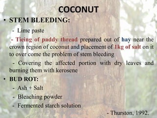 COCONUT
• STEM BLEEDING:
- Lime paste
- Tieing of paddy thread prepared out of hay near the
crown region of coconut and placement of 1kg of salt on it
to over come the problem of stem bleeding
- Covering the affected portion with dry leaves and
burning them with kerosene
• BUD ROT:
- Ash + Salt
- Bleaching powder
- Fermented starch solution
- Thurston, 1992.
 
