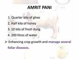 AMRIT PANI
1. Quarter kilo of ghee
2. Half kilo of honey
3. 10 kilo of fresh dung
4. 200 litres of water
 Enhancing crop growth and manage several
foliar diseases.
 