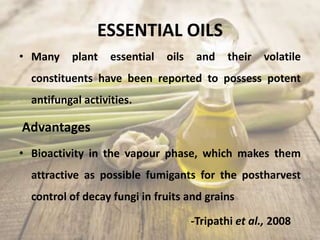 ESSENTIAL OILS
• Many plant essential oils and their volatile
constituents have been reported to possess potent
antifungal activities.
Advantages
• Bioactivity in the vapour phase, which makes them
attractive as possible fumigants for the postharvest
control of decay fungi in fruits and grains
-Tripathi et al., 2008
 