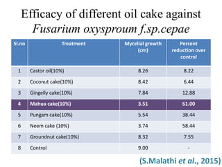 Efficacy of different oil cake against
Fusarium oxysproum f.sp.cepae
Sl.no Treatment Mycelial growth
(cm)
Percent
reduction over
control
1 Castor oil(10%) 8.26 8.22
2 Coconut cake(10%) 8.42 6.44
3 Gingelly cake(10%) 7.84 12.88
4 Mahua cake(10%) 3.51 61.00
5 Pungam cake(10%) 5.54 38.44
6 Neem cake (10%) 3.74 58.44
7 Groundnut cake(10%) 8.32 7.55
8 Control 9.00 -
(S.Malathi et al., 2015)
 