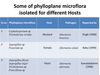 Some of phylloplane microflora
isolated for different Hosts
Sl.no Phylloplane microflora Host Pathogen Reported by
1 Cephalosporium sp
Trichoderma viridae Mustard Alternaria
brassica
Singh (1990)
2 Aspergillus sp
Fusarium sp Tomato Alternaria solani Babu (1994)
3 Aspergillus flavus
Aspergillus niger
Trichoderma sp
Penicillium sp
Pitchi Alternaria
alternata
Kamalalakshmi
(1996)
 