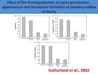 Effect of film forming polymers on spore germination ,
appressorium and Haustorium formation of powdery mildew
on Barley
Sutherland et al., 2002
 