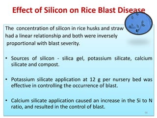 Effect of Silicon on Rice Blast Disease
The concentration of silicon in rice husks and straw
had a linear relationship and both were inversely
proportional with blast severity.
• Sources of silicon - silica gel, potassium silicate, calcium
silicate and compost.
• Potassium silicate application at 12 g per nursery bed was
effective in controlling the occurrence of blast.
• Calcium silicate application caused an increase in the Si to N
ratio, and resulted in the control of blast.
66
 