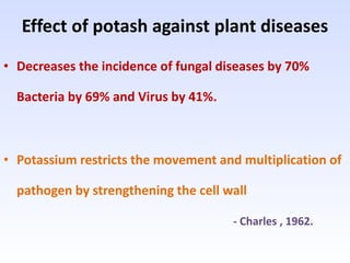 Effect of potash against plant diseases
• Decreases the incidence of fungal diseases by 70%
Bacteria by 69% and Virus by 41%.
• Potassium restricts the movement and multiplication of
pathogen by strengthening the cell wall
- Charles , 1962.
 