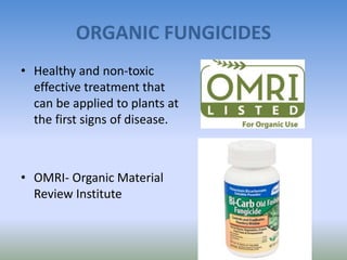 ORGANIC FUNGICIDES
• Healthy and non-toxic
effective treatment that
can be applied to plants at
the first signs of disease.
• OMRI- Organic Material
Review Institute
 