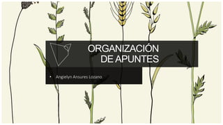 ORGANIZACIÓN
DE APUNTES
• Angielyn Ansures Lozano.
 