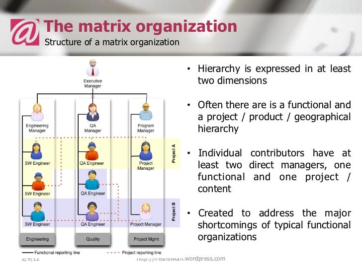 matrix organization