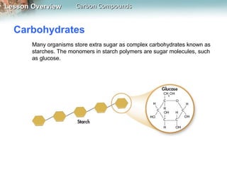 Lesson Overview        Carbon Compounds


  Carbohydrates
       Many organisms store extra sugar as complex carbohydrates known as
       starches. The monomers in starch polymers are sugar molecules, such
       as glucose.
 