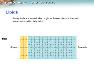 Lesson Overview        Carbon Compounds


  Lipids
       Many lipids are formed when a glycerol molecule combines with
       compounds called fatty acids.
 